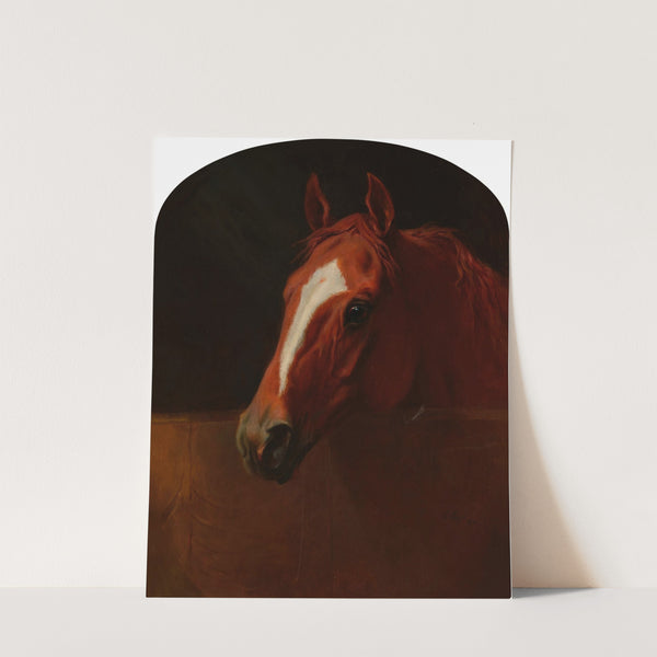 Mary Hadley in a Loose Box (1872) by Edward Troye