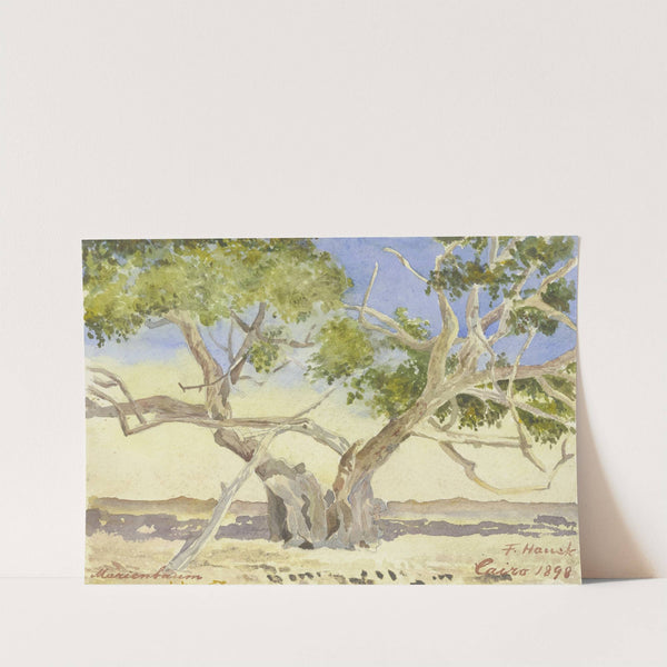 Mary’s tree near Cairo (1898) by Fritz Hauck