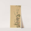 Masterpieces selected from the Ukiyoyé School, Pl.25 by Shiichi Tajima