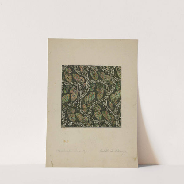 Material used in Costume by Isabelle De Strange