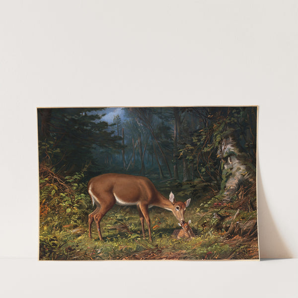 Maternal Love (ca. 1861–1897) by Arthur Fitzwilliam Tait