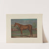 Maud S; The queen of the trotting turf by Maurice Scanlan