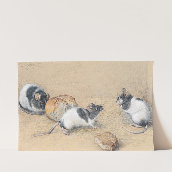 Mäuse by Carl Reichert