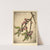May Cherries by Bertha Jaques