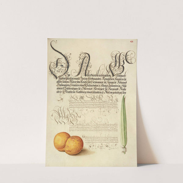 Mayfly, Apricot, and Reed Grass (1561–1596) by Joris Hoefnagel