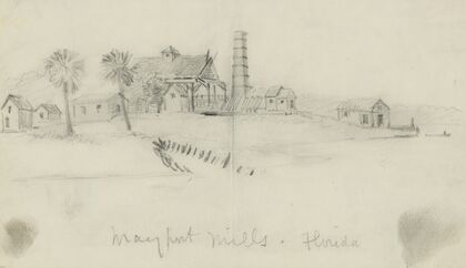 Mayport Mills, Florida