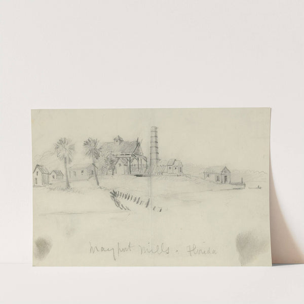 Mayport Mills, Florida by Alfred Rudolph Waud