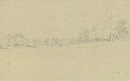 Meadow ground near Kronberg