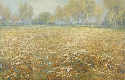 Meadow in Bloom