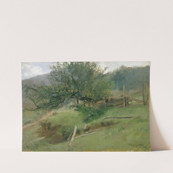 Meadow Slope (Lautenbach) by Franz Xaver Gräßel
