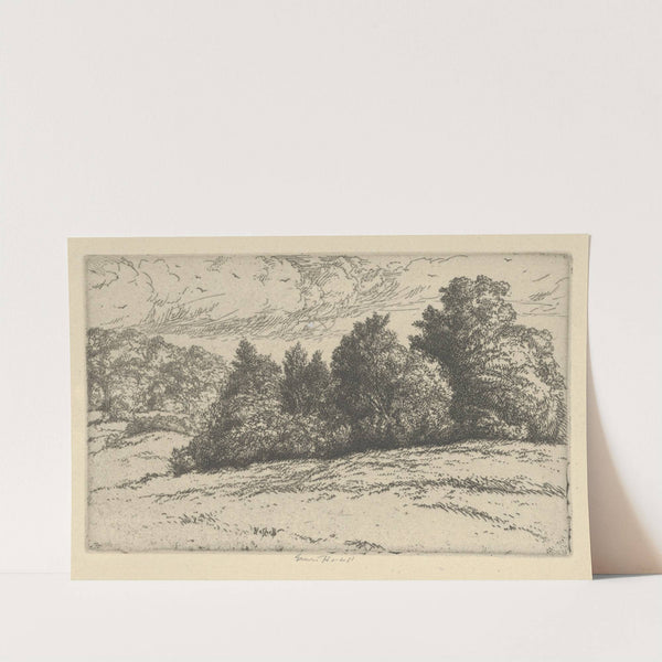 Meadow Trees (1900-1925) by Ernest Haskell