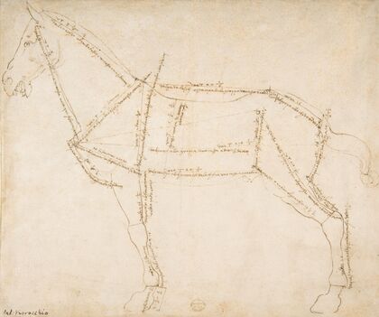 Measured Drawing of a Horse Facing Left