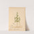 Medicinal Plants Pl.011 by Charles Frederick Millspaugh