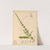Medicinal Plants Pl.040 by Charles Frederick Millspaugh