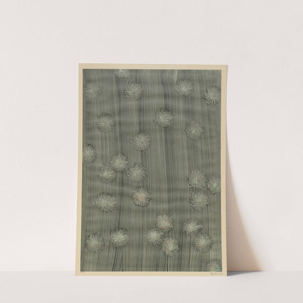 Mehrfarbiges Kleisterpapier (mit Blüten) (1900) by Lilli Behrens