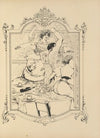 Mémoires d’une glace Pl.11 (1894)