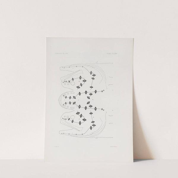 Memoirs of the Museum of Comparative Zoology at Harvard College Pl.77 by Harvard University. Museum of Comparative Zoology