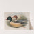 Mergus castor. Goosander. (1862-1873) by John Gould