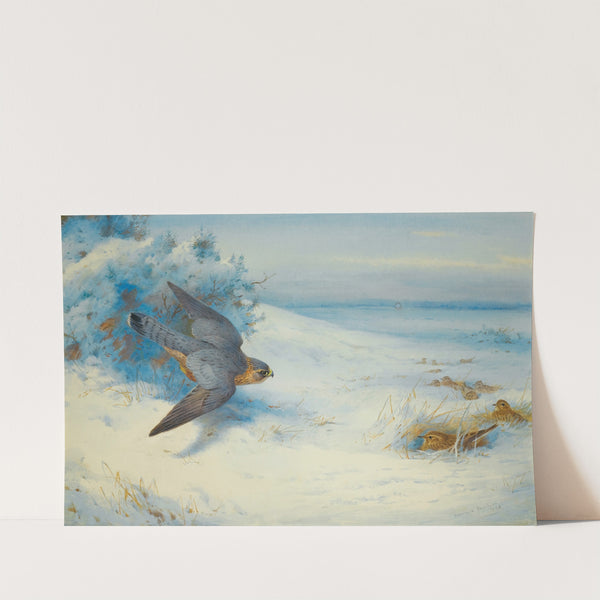 Merlin And Larks (1923) by Archibald Thorburn