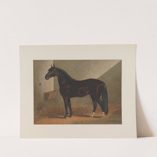 Messenger Duroc (1881-1882) by Henry Stull