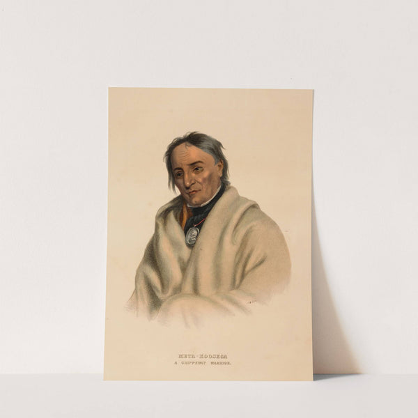 Meta-Koosega. A Chippeway Warrior (ca. 1837-1844) by Charles Bird King