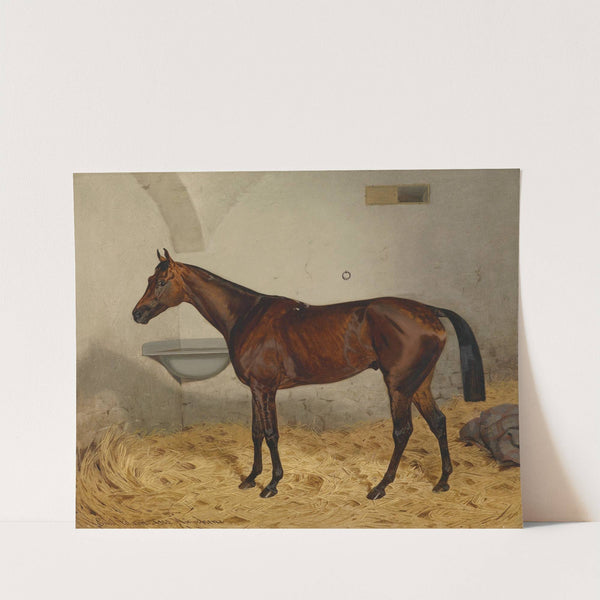 Mettalist by Emil Adam