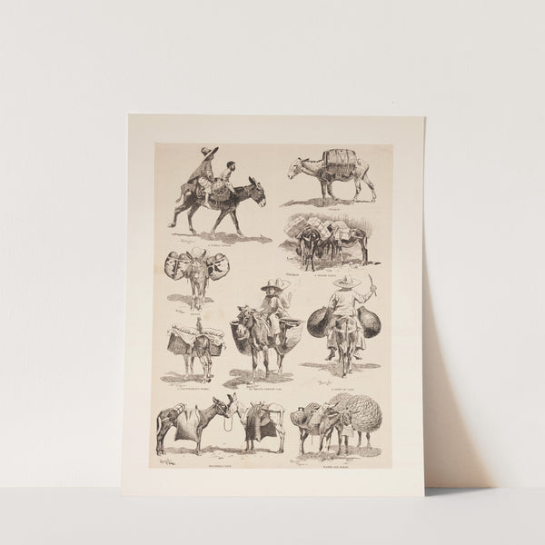 Mexican burros (1889) by Frederic Remington