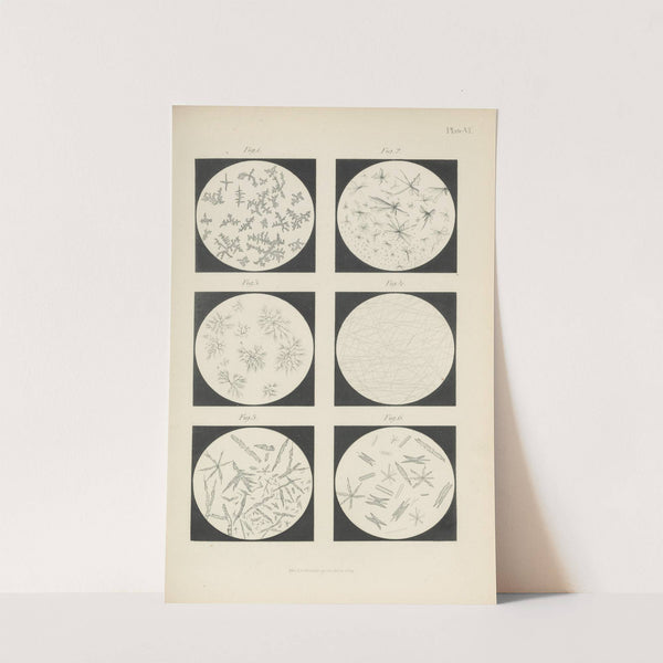 Micro-Chemistry of Poisons Pl.06 (1885) by Theodore George Wormley