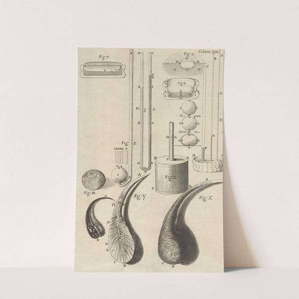 Microscopic view of assorted glass canes and drops by Robert Hooke