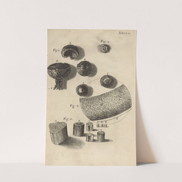 Microscopic view of flint or steel by Robert Hooke