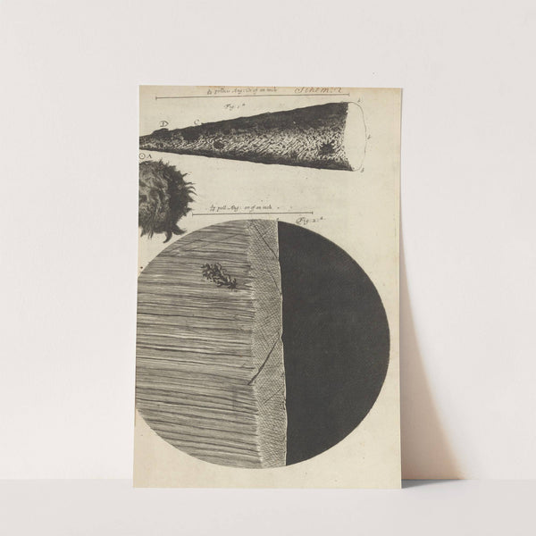 Microscopic view of needle and razor (1665) by Robert Hooke