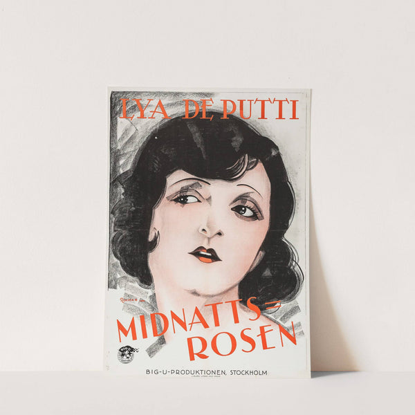 Midnight Rose by Eric Rohman