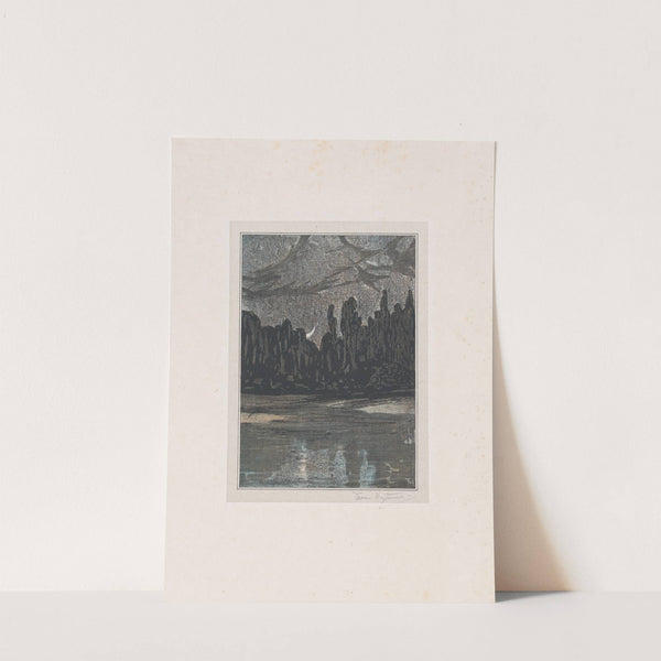 Migratory Birds on a Moonlit Night (1907) by Theo van Hoytema