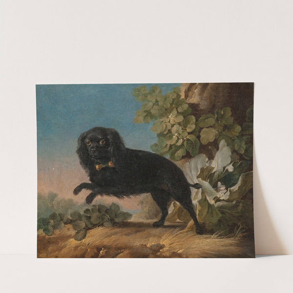 Mimi, le chien favorite de madame de Pompadour (1762) by Jean-Jacques Bachelier