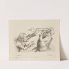 Mirth. Anguish (1810) by Tim Bobbin