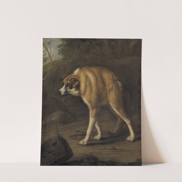 Missbildad hund by David Klöcker Ehrenstrahl