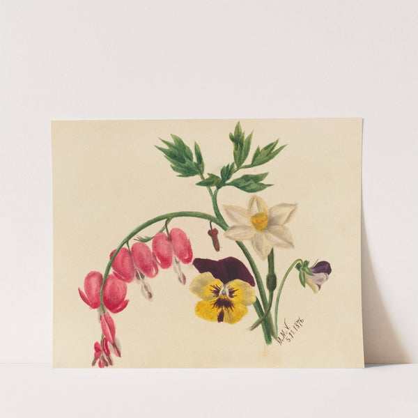 Mixed Flowers (1876) by Mary Vaux Walcott