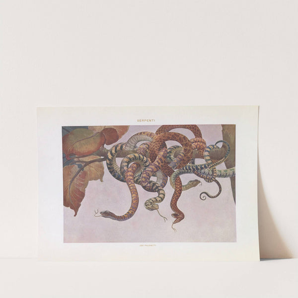 Modern decorative art Vol. I Pl.05 by Paul Wenzel (Publisher)