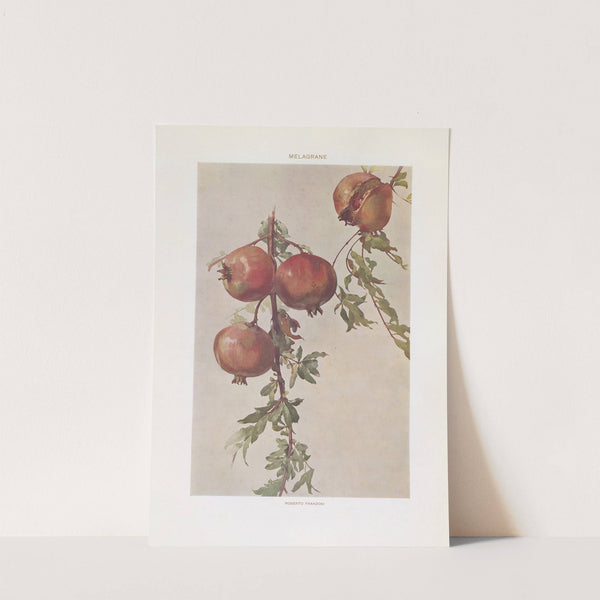 Modern decorative art Vol. I Pl.12 by Paul Wenzel (Publisher)