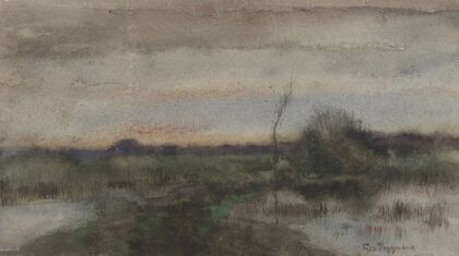 Moeraslandschap met zonsondergang