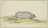 Mole to the right