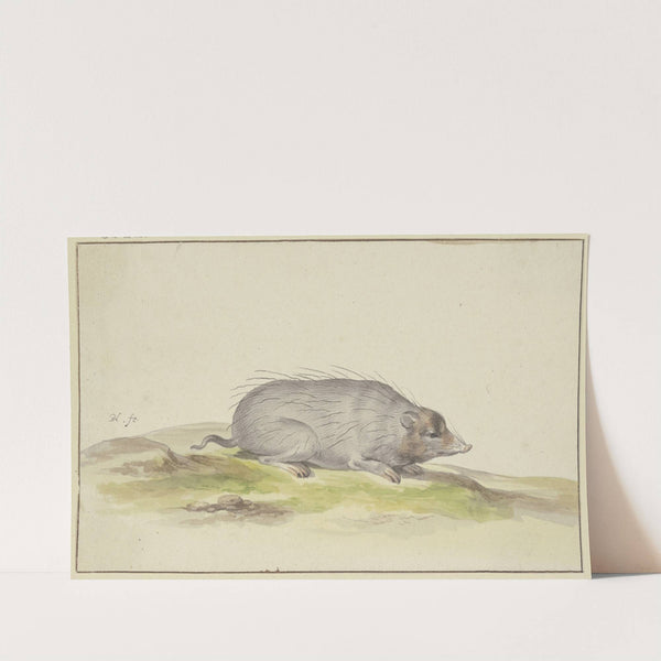 Mole to the right by Pieter Holsteijn