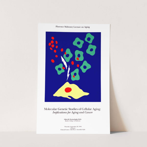 Molecular genetic studies of cellular aging by National Institutes of Health