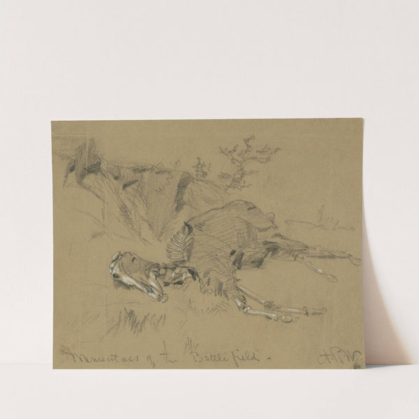 Momentoes of the Battlefield by Alfred Rudolph Waud