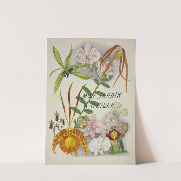 Mon Jardin a Ceylan Pl.003 (1896) by George De Alwis