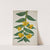 Mon Jardin a Ceylan Pl.027 (1896) by George De Alwis