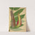 Mon Jardin a Ceylan Pl.109 (1896) by George De Alwis