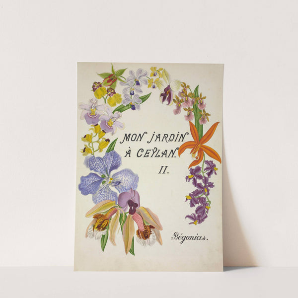 Mon Jardin a Ceylan Pl.160 (1896) by George De Alwis