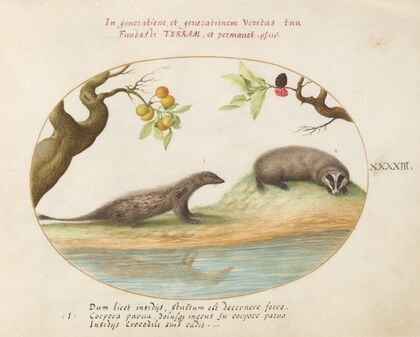 Mongoose and Badger with Fruit Trees (1575-1590)