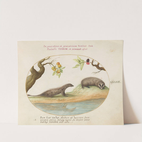 Mongoose and Badger with Fruit Trees (1575-1590) by Joris Hoefnagel